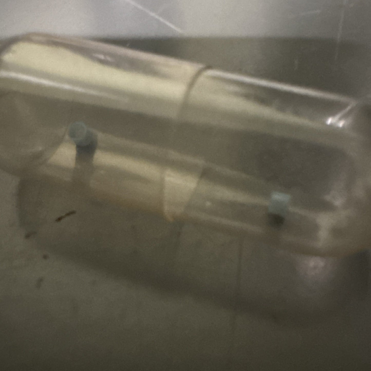 OEM Tissot 781-1 Dial Feet Washers 1 Pair Ref LG1-23