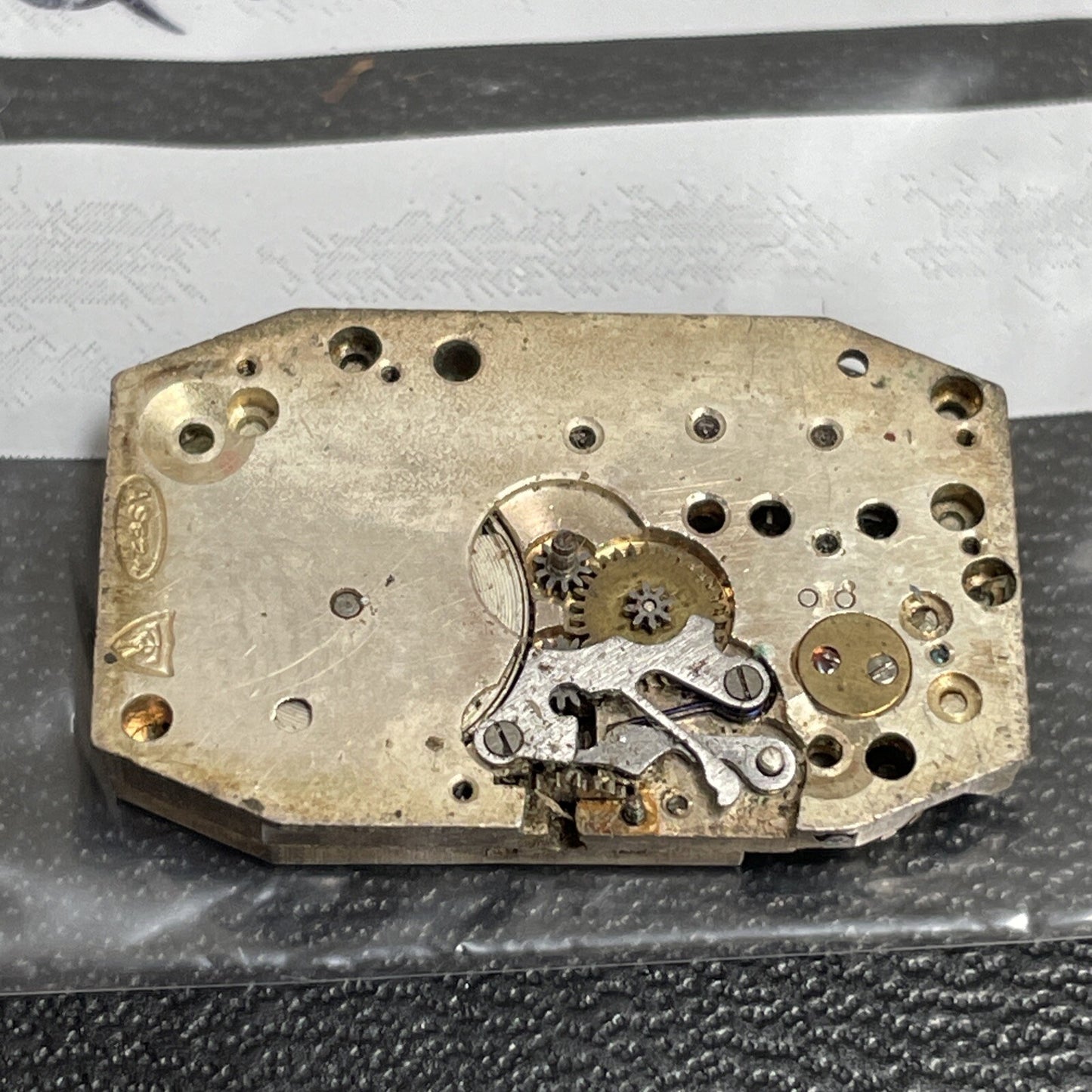 AS 524 Movement Shot Balance Ref Q31