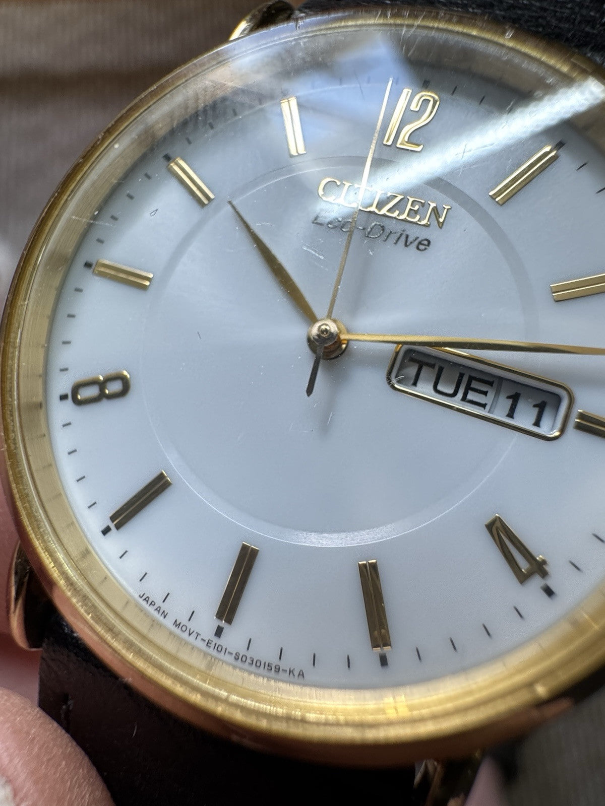 Mens Citizen Eco-Drive 36mm Dress Watch New XXL Strap