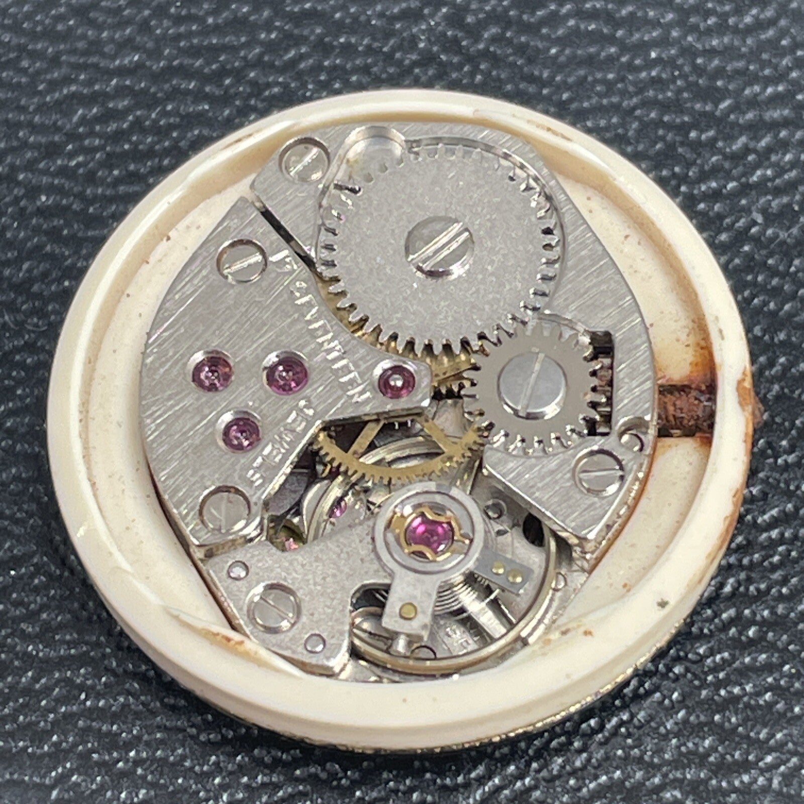 Lorsa Cal 8 PB Full Movement Goid Balance Ref LG15-12