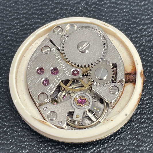 Lorsa Cal 8 PB Full Movement Goid Balance Ref LG15-12