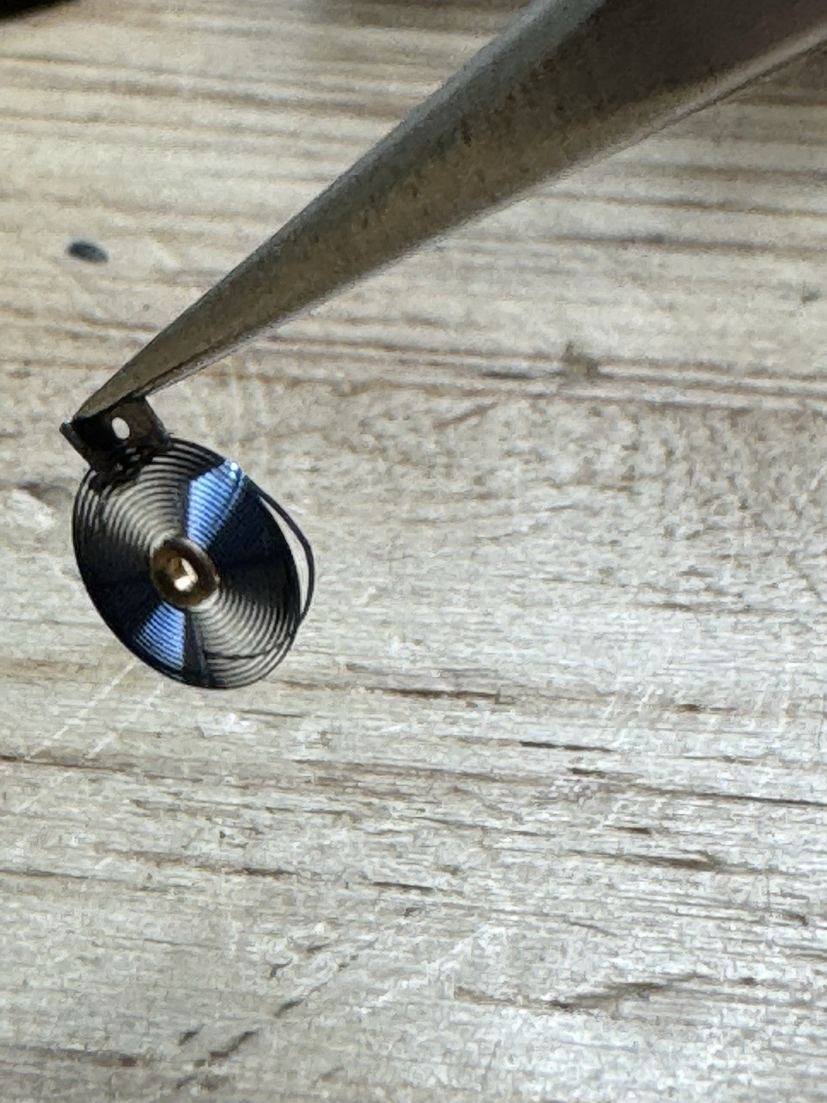 Longines 13.33Z Hairspring