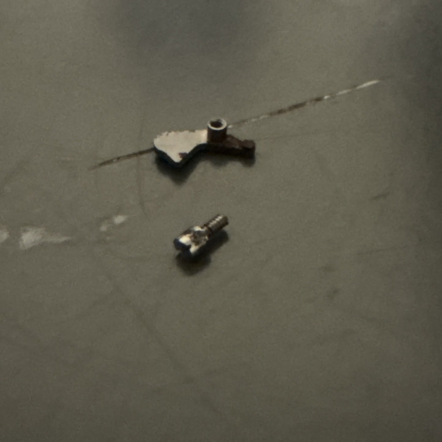 Omega 620 Setting Lever & Screw (Some Rust) X1 Ref LG1-24