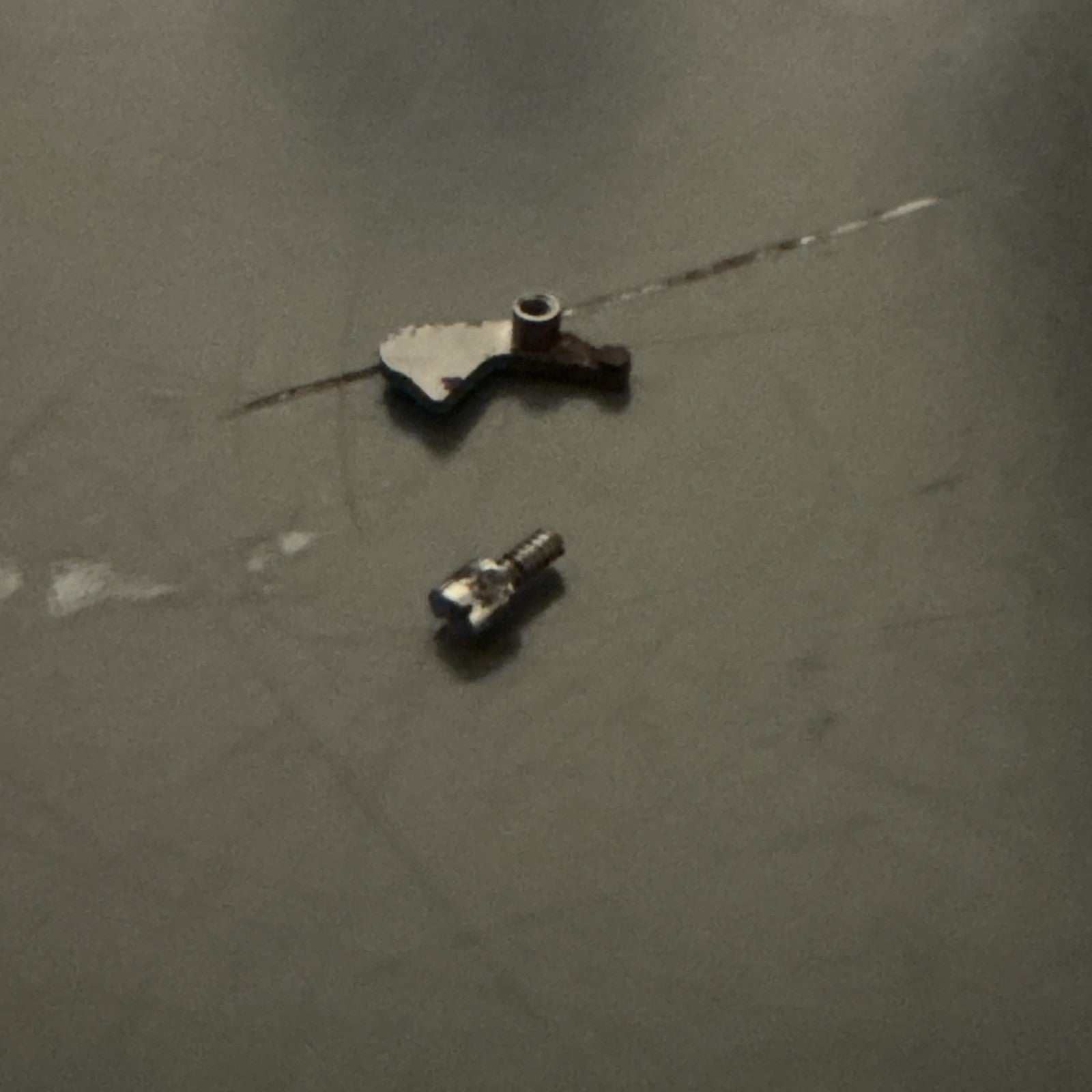 Omega 620 Setting Lever & Screw (Some Rust) X1 Ref LG1-24