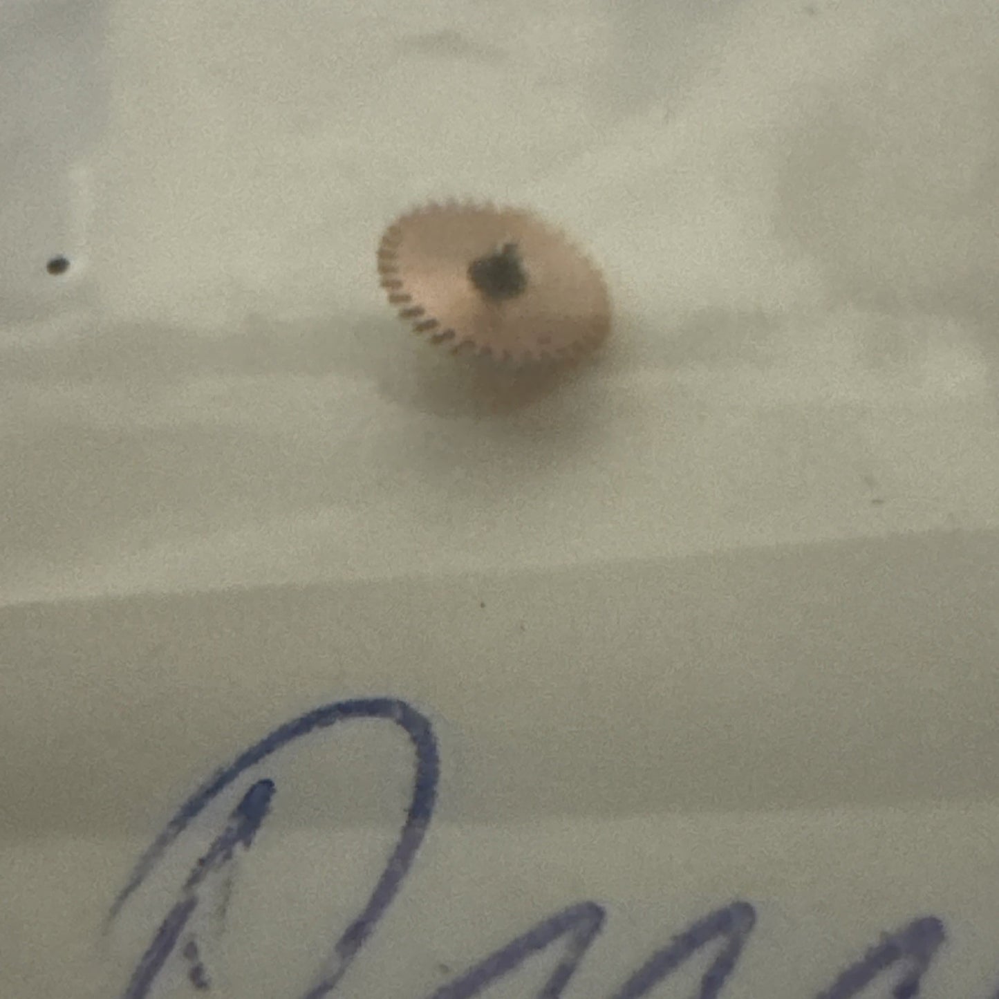 Omega 455 Automatic Driving Gear Ref LG1-14