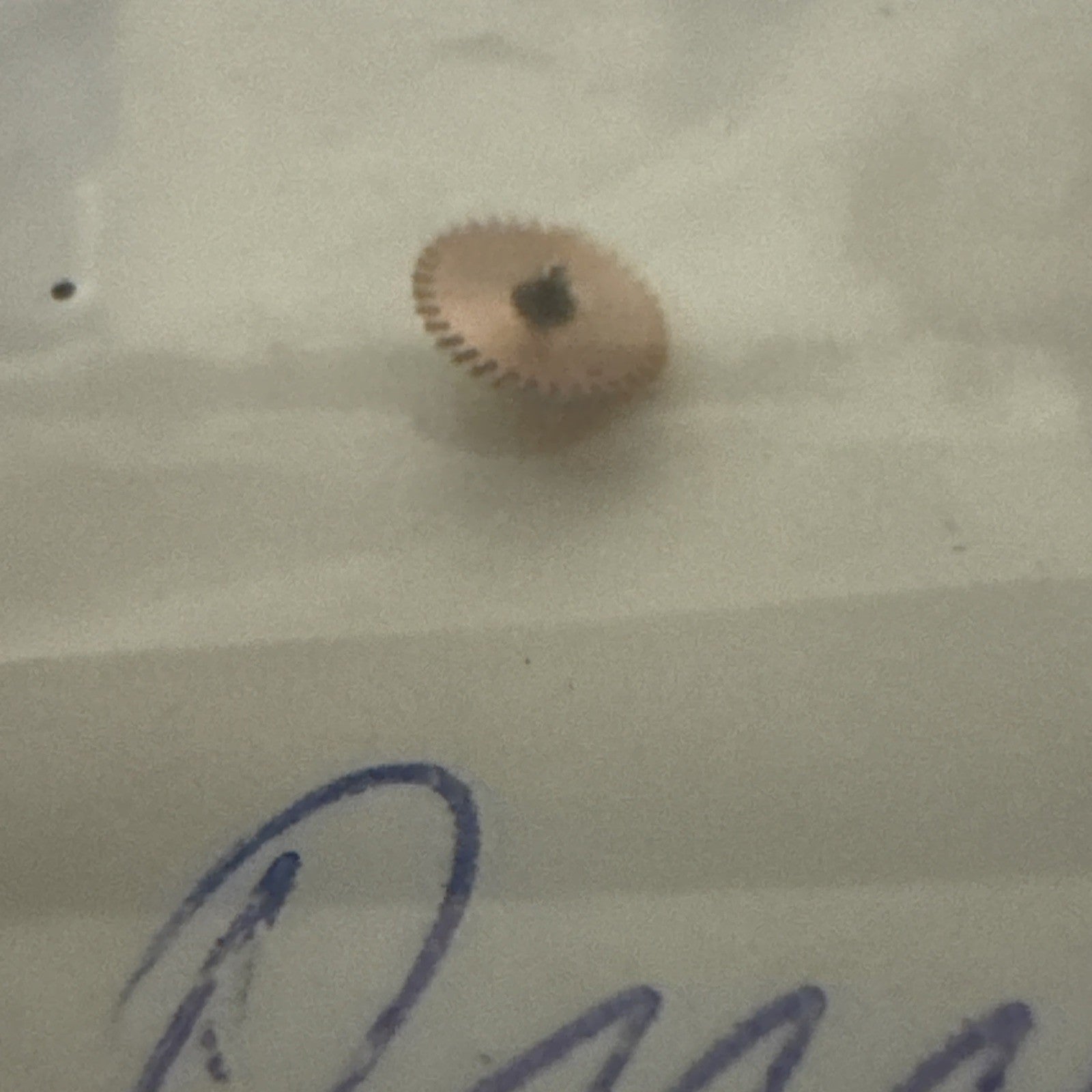 Omega 455 Automatic Driving Gear Ref LG1-14