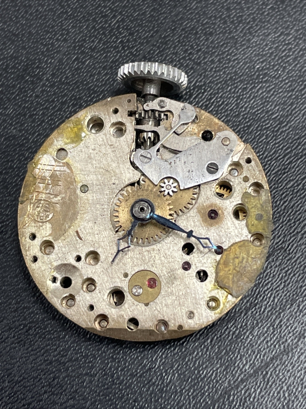 AS A Schild Full Movement Ref M43