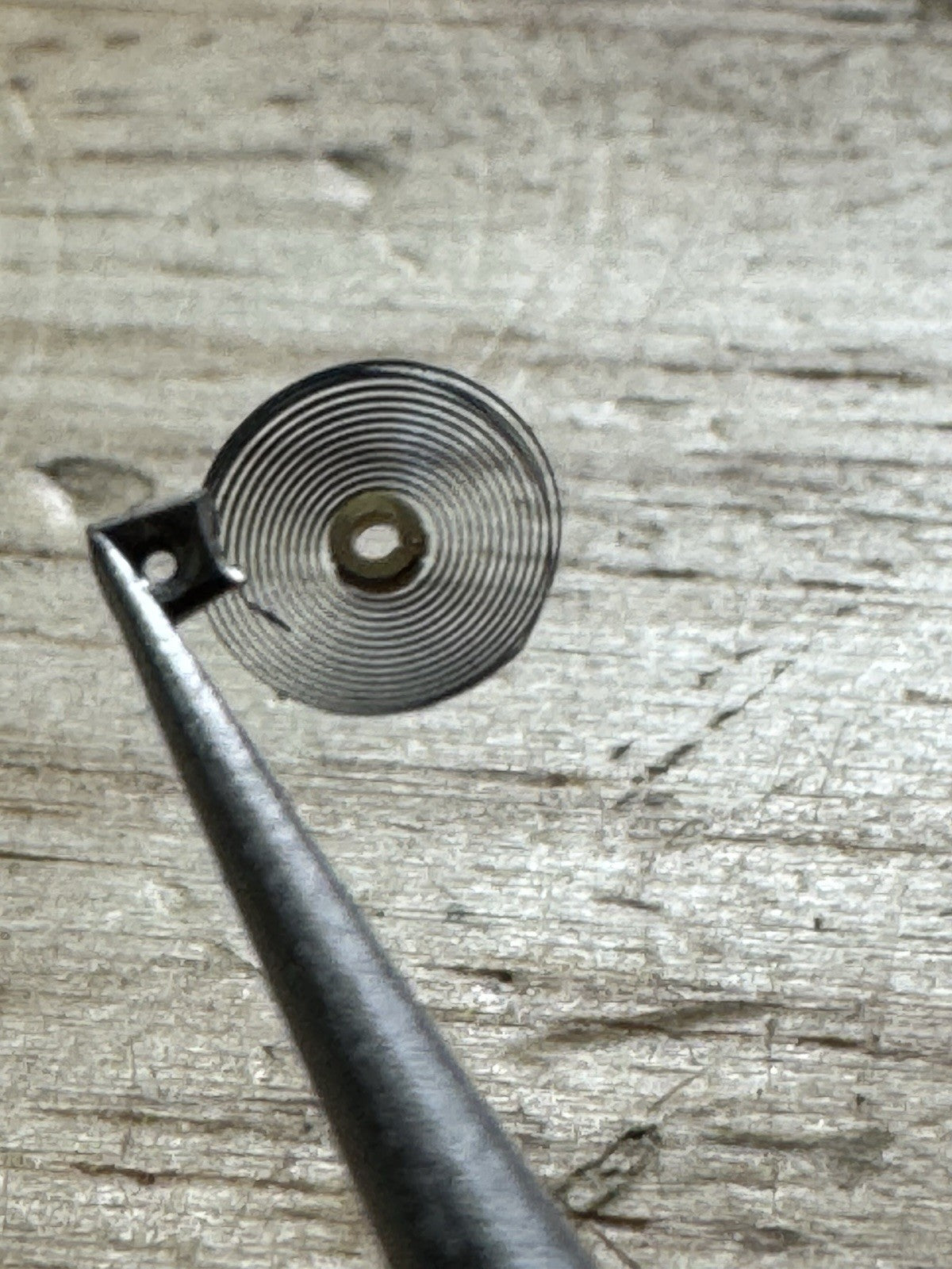 Longines 13.33Z Hairspring