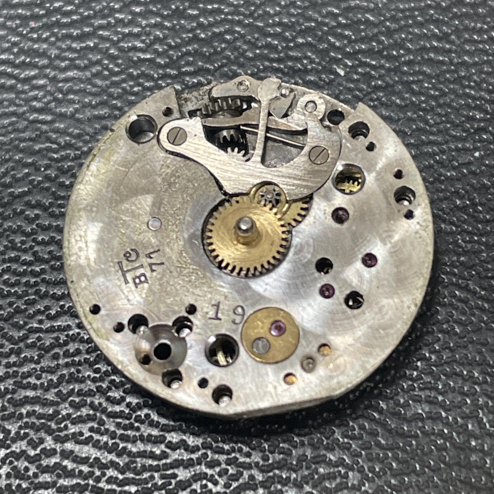 Damas 71 Full Movement Brief Spin On Balance Ref LG15-27