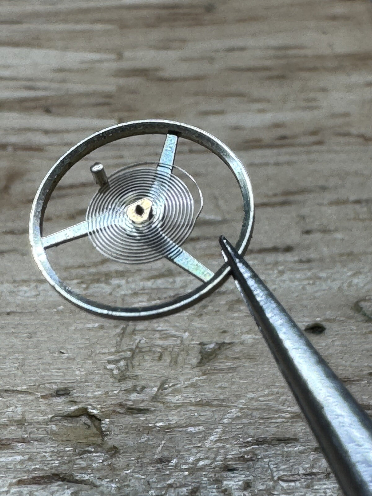 A Schild 2061 Balance Complete LG0