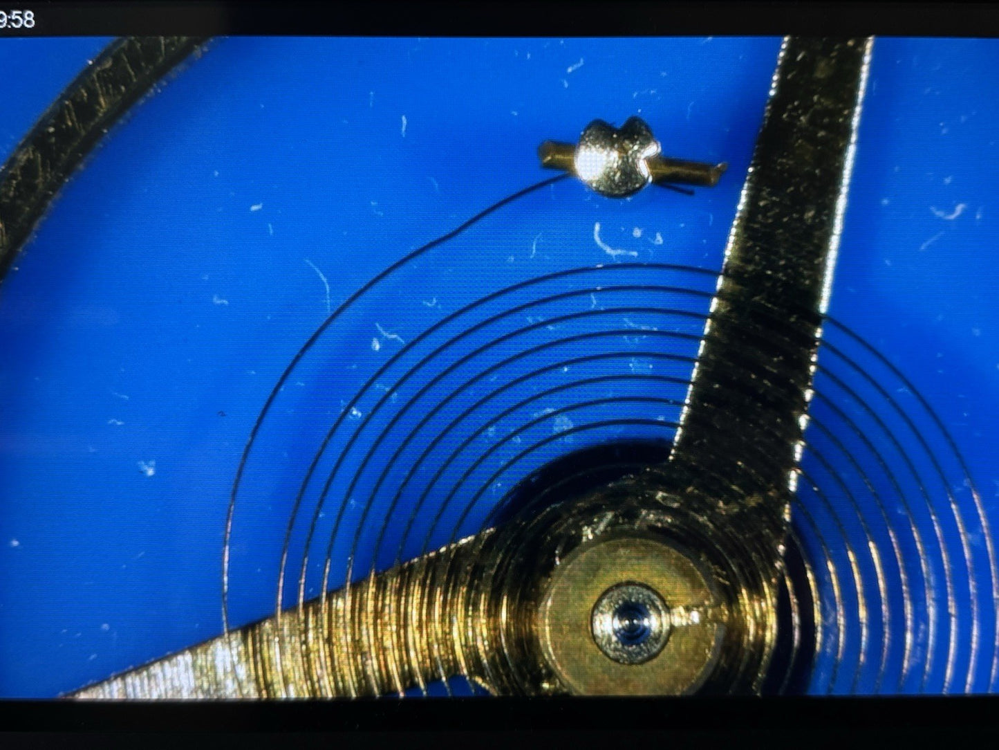 Balance Complete Enicar 1120 1124 Ref LG10