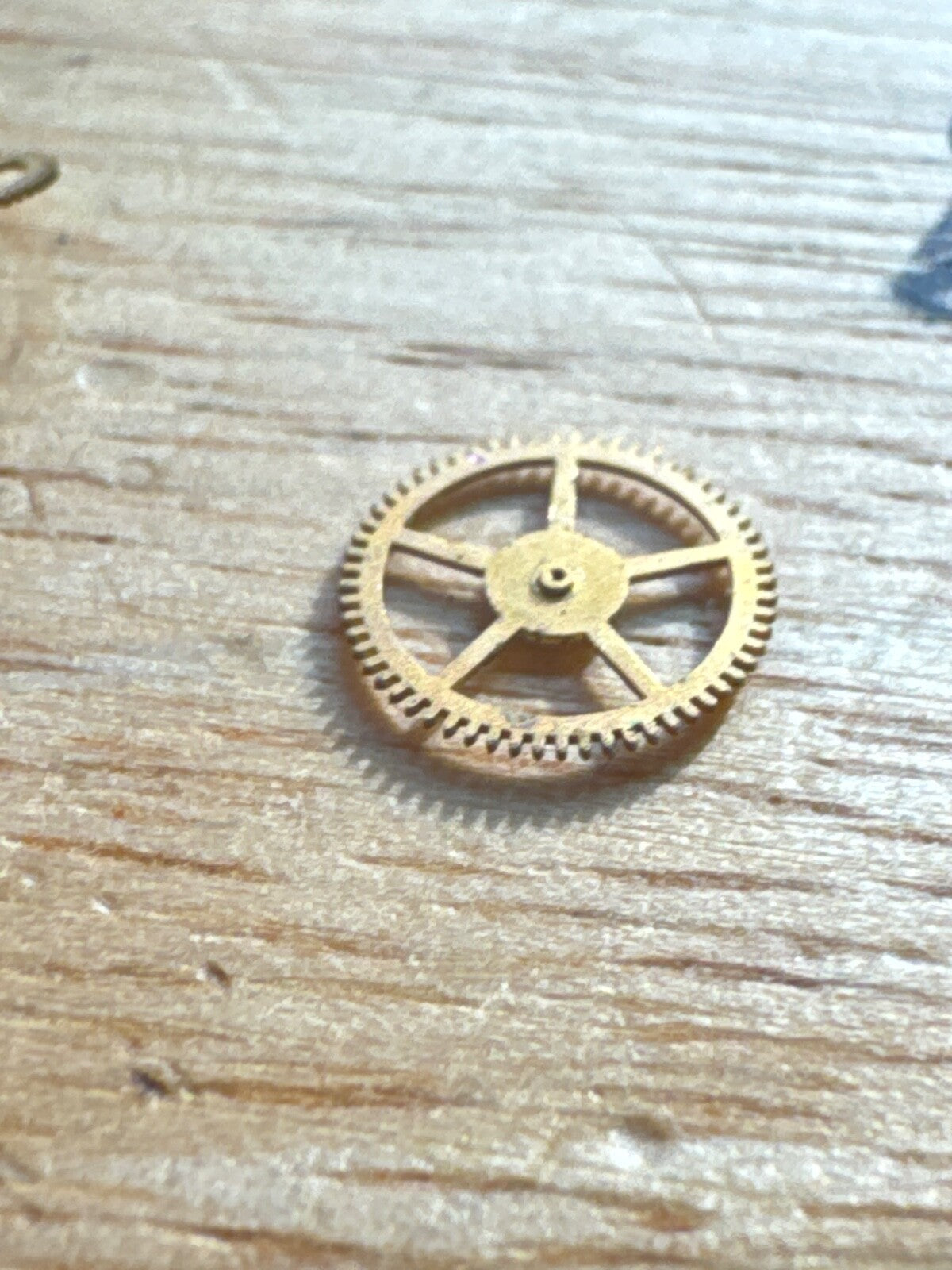 Angelus Lavina 120SC Movement Spare Parts