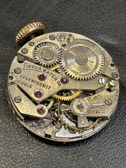 AS A Schild 970 Full Movement  Ref M13