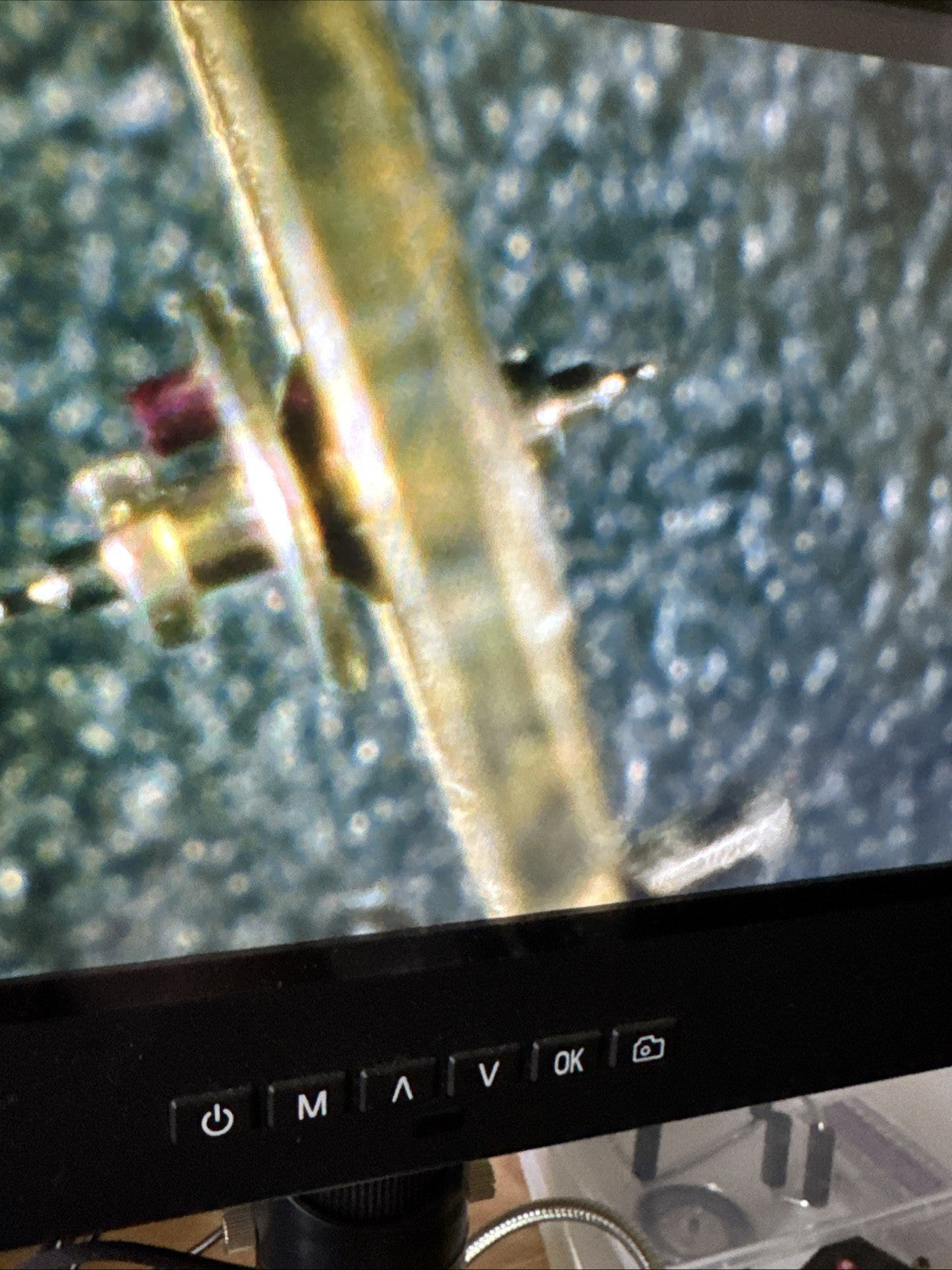 Balance Complete Jeambrun 26D Inca Ref G