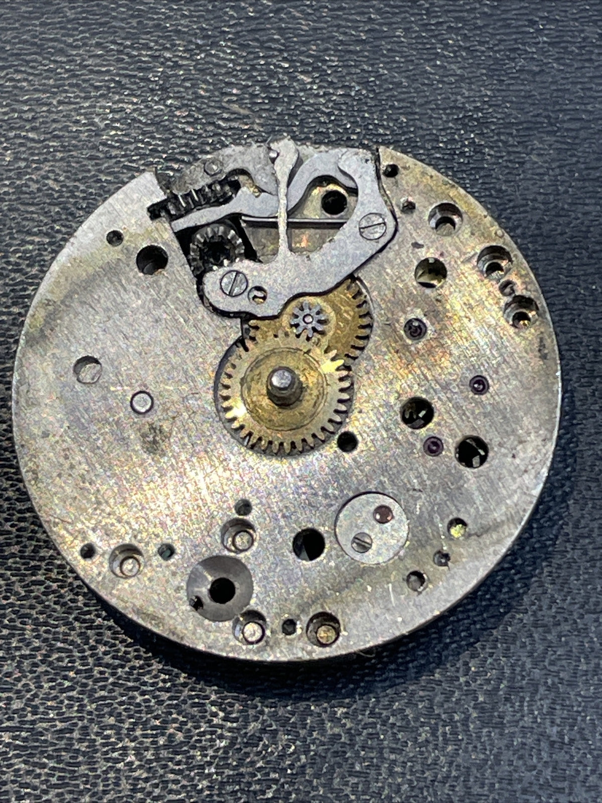 Melano 102 Full Movement OK Balance Ref L