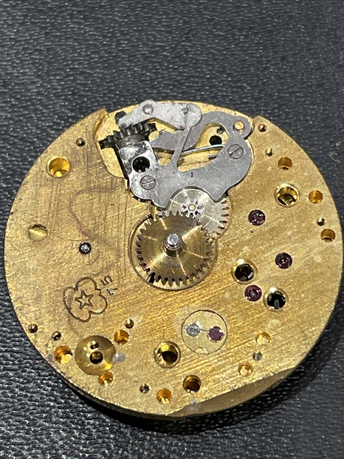 Venus 75 Full Movement OK Balance Ref M2