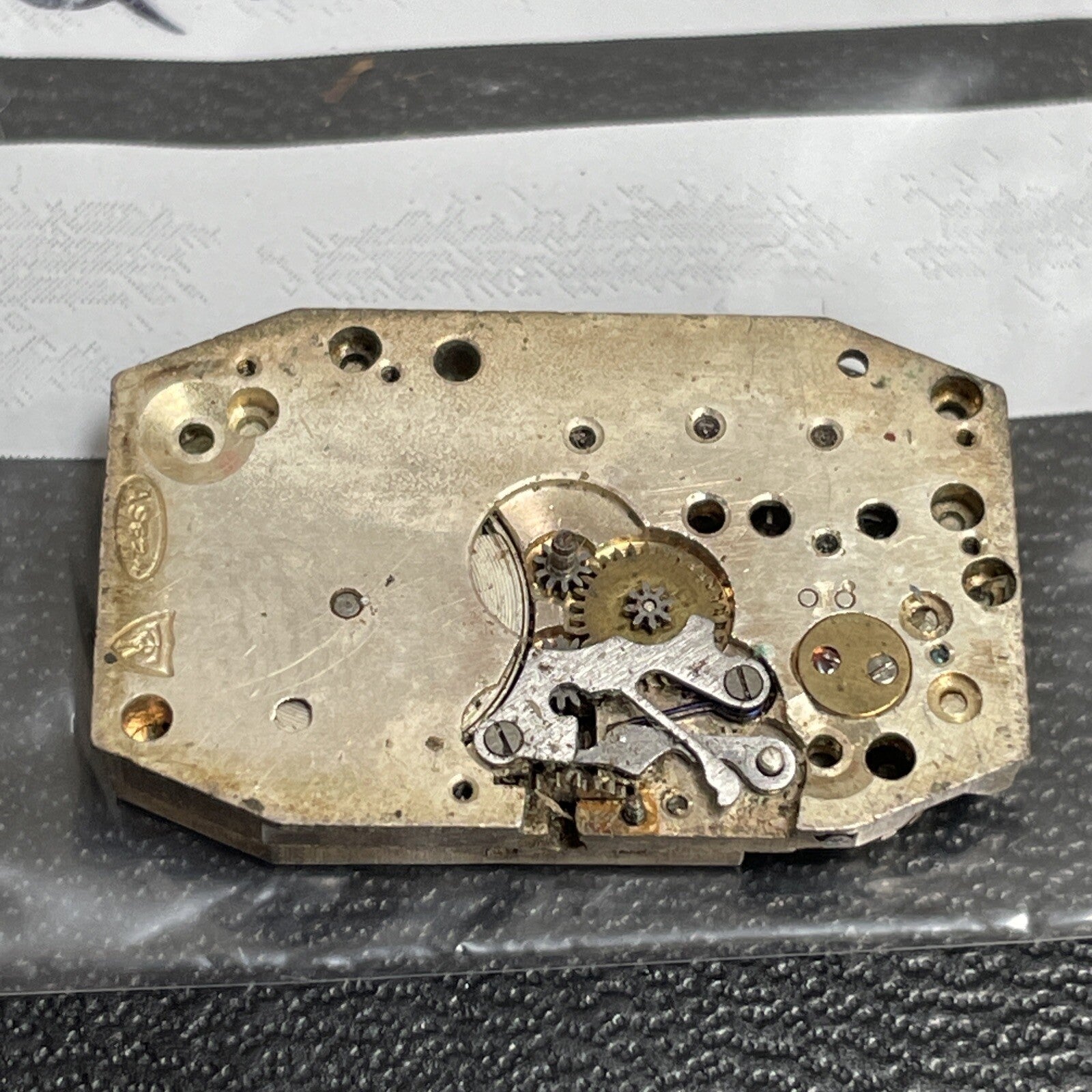 AS 524 Movement Shot Balance Ref Q31