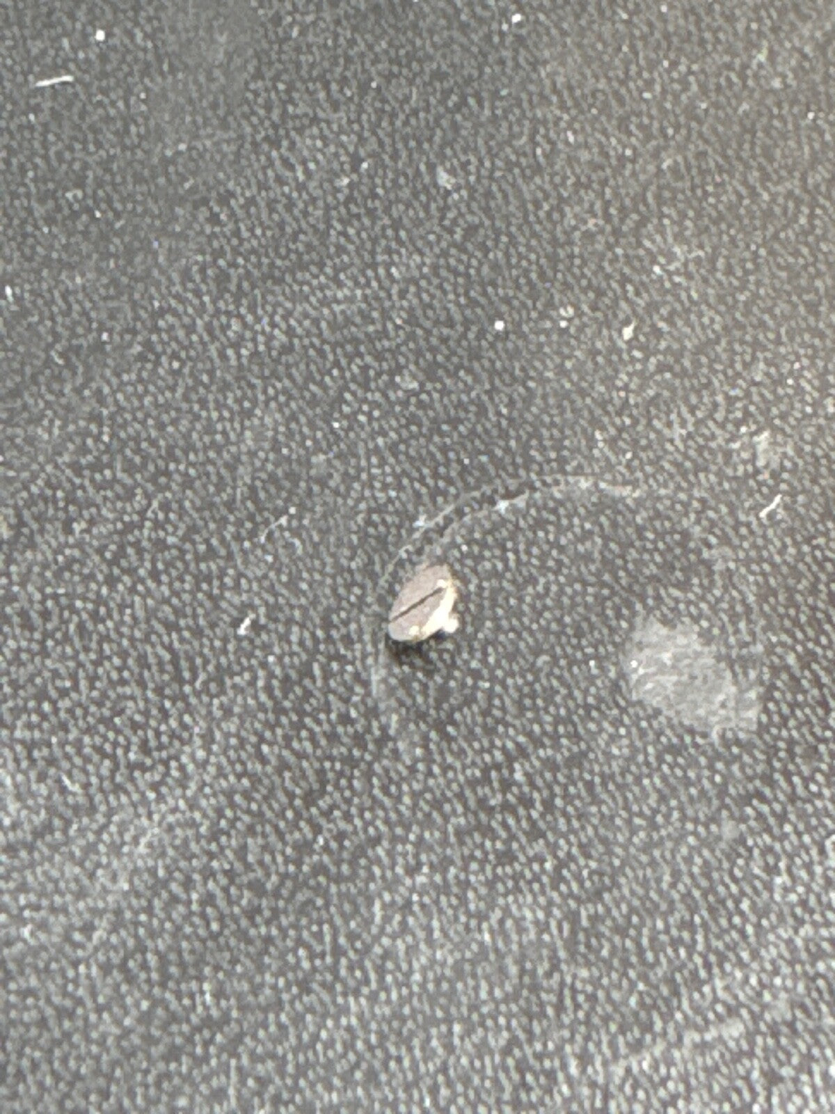 Elgin 16s Spare Parts Model 7 Grade 293 Class 110