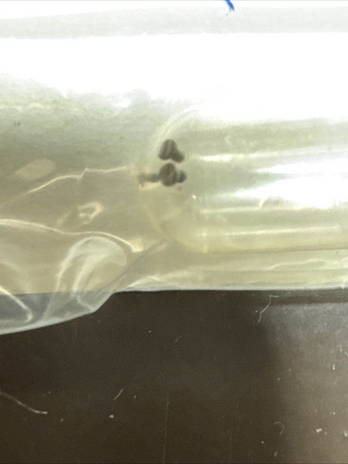 Seiko 022470 Auto Bridge Screws 5pk Ref E30