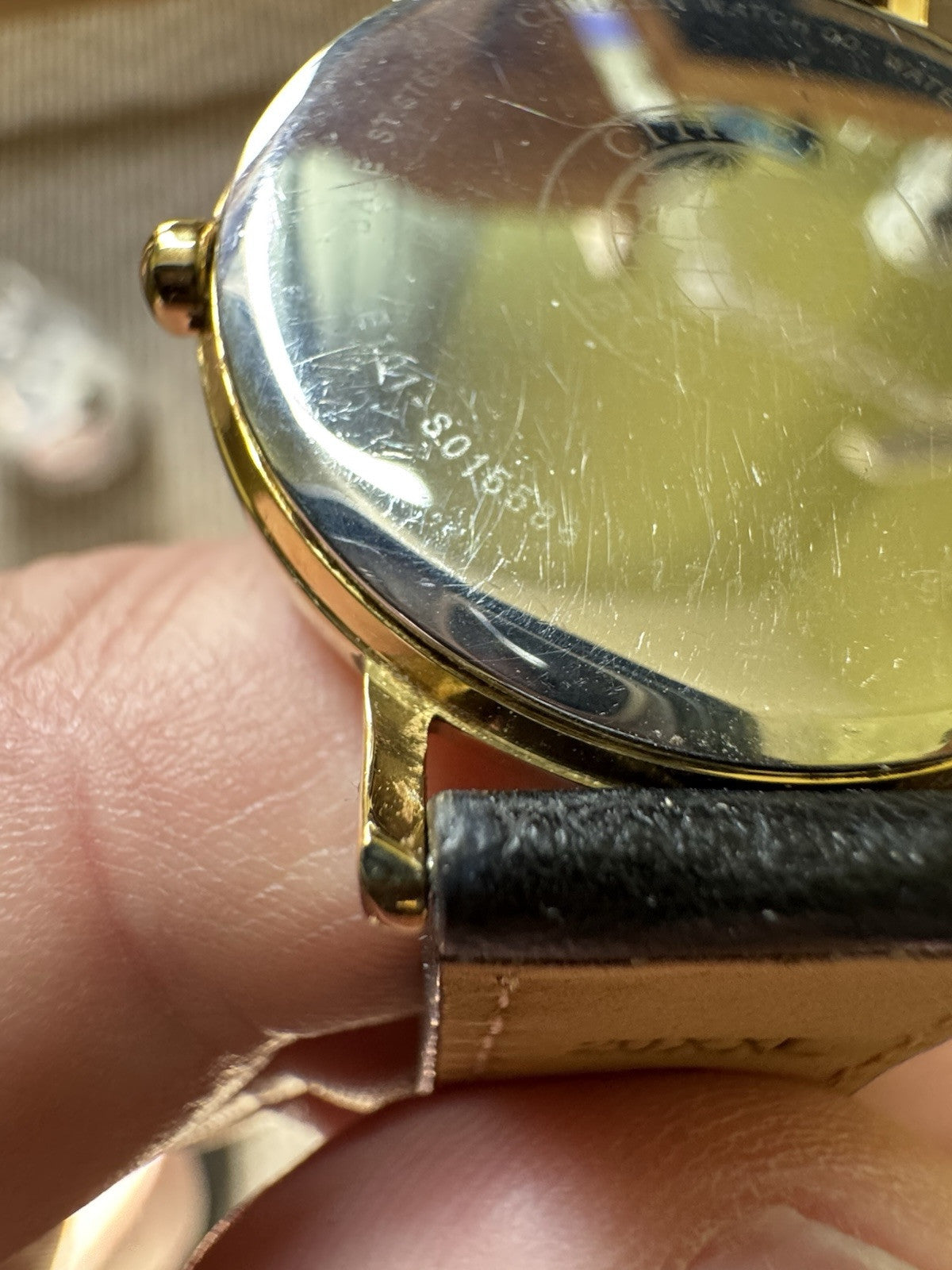 Mens Citizen Eco-Drive 36mm Dress Watch New XXL Strap